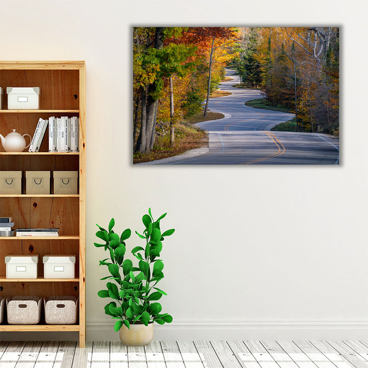 Door County Curvy Road, Wisconsin - Canvas Print Wall Art