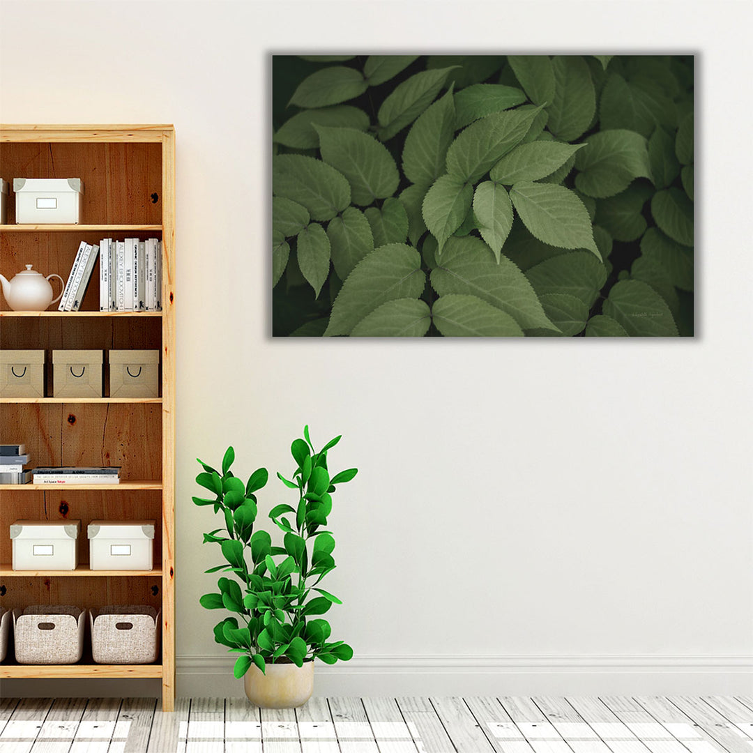 Leafy I - Canvas Print Wall Art