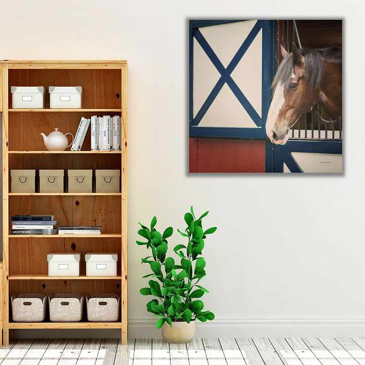 Patriotic Pony I - Canvas Print Wall Art