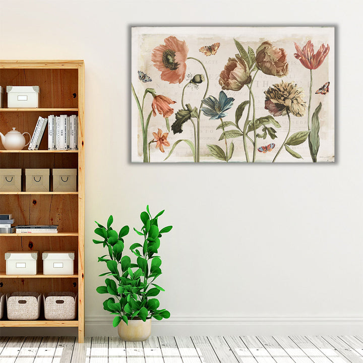 Antiquarian Blooms I - Canvas Print Wall Art