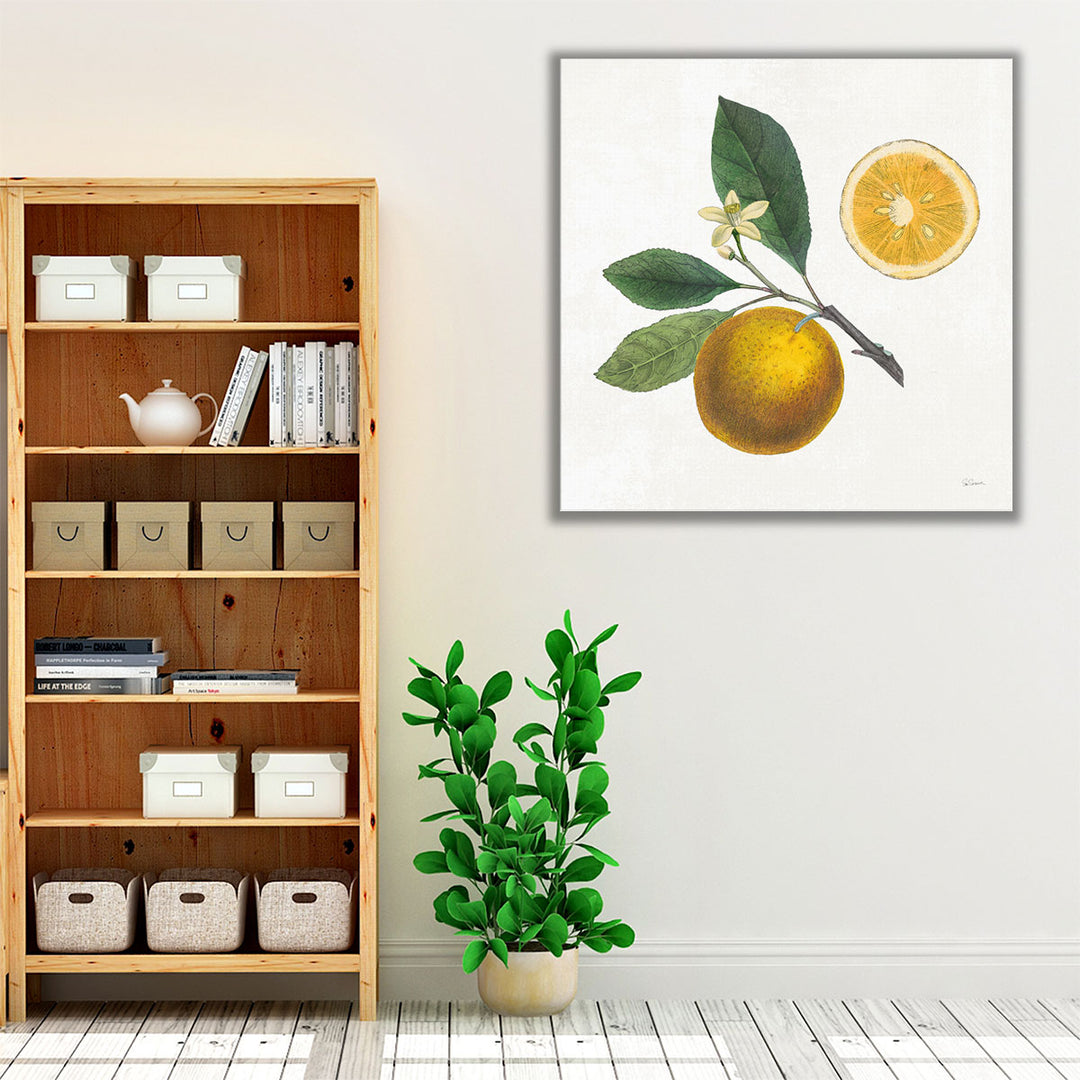 Kitchen Wrapped Canvas – traditional citrus décor