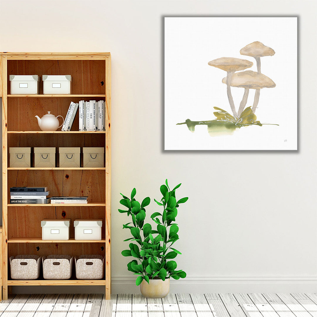 Mellow Mushrooms I - Canvas Print Wall Art