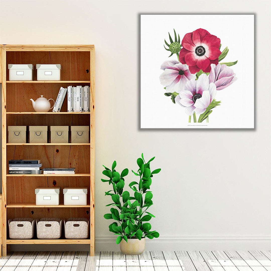 Anemone Blooms I - Canvas Print Wall Art