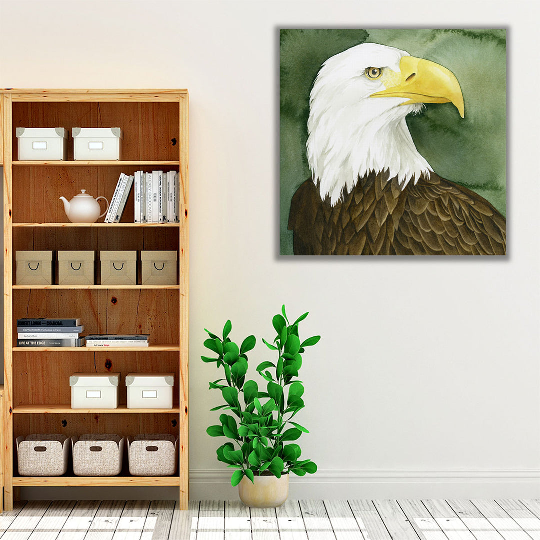 Bald Eagle Stare I - Canvas Print Wall Art