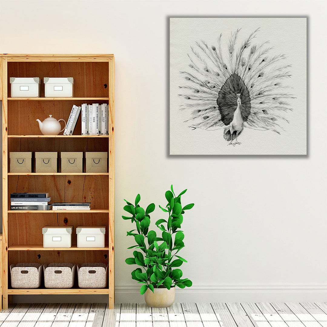 Ebony Plumed Peacock I - Canvas Print Wall Art
