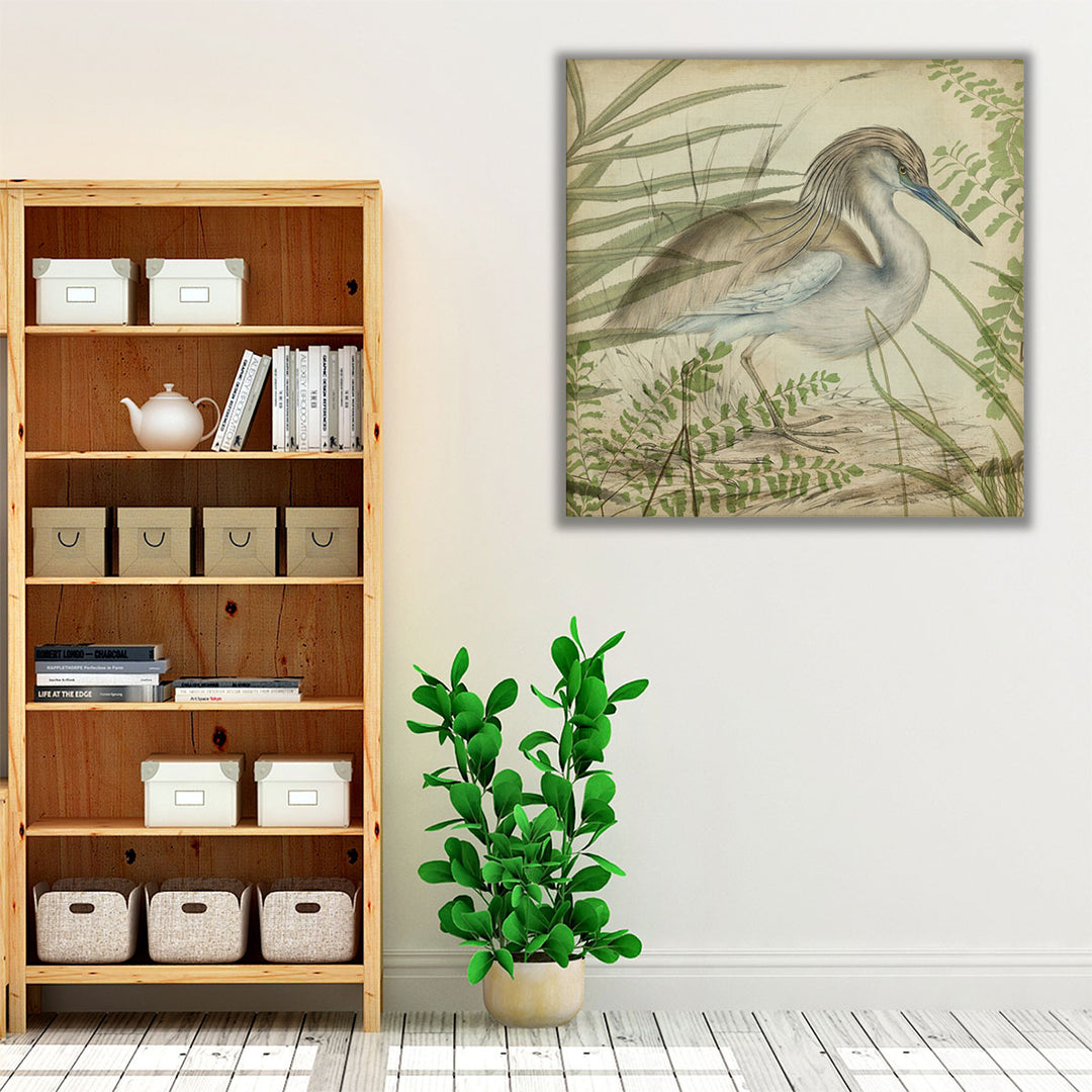 Heron & Ferns II - Canvas Print Wall Art