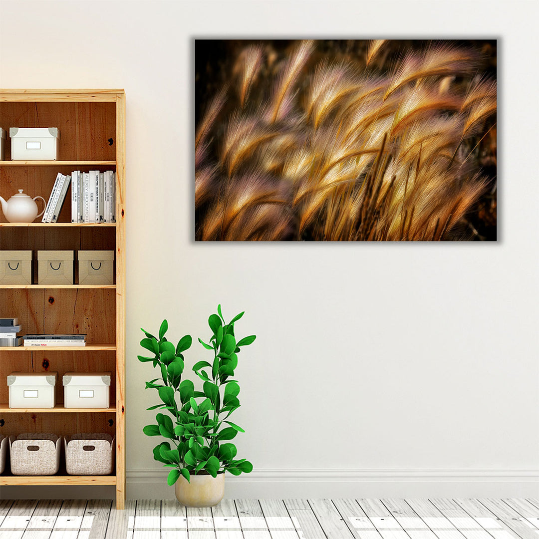 Framed canvas modern plant photography print