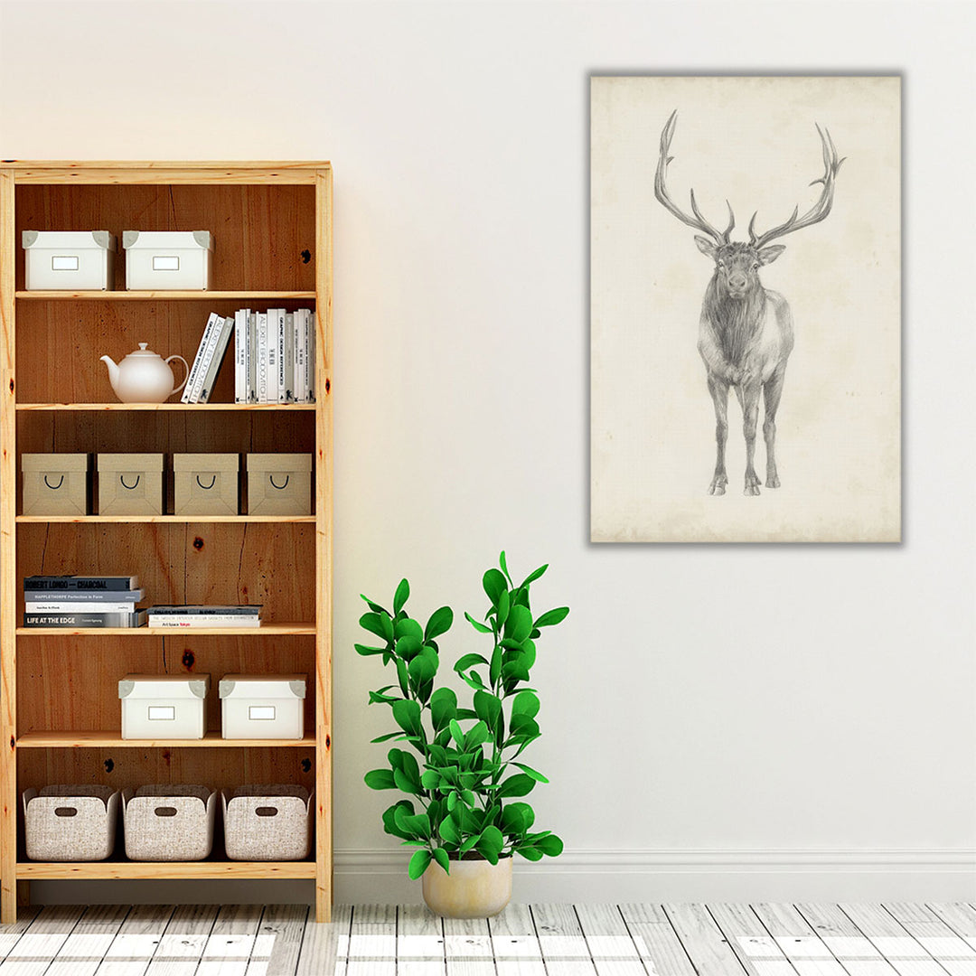 Elk Study - Canvas Print Wall Art