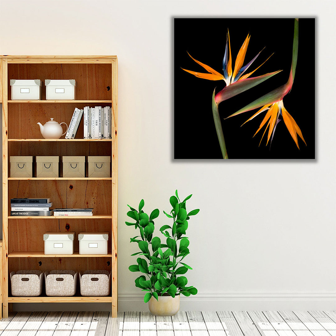 Two Heliconias - Canvas Print Wall Art