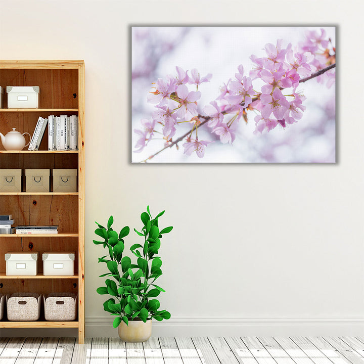 Blossom II - Canvas Print Wall Art