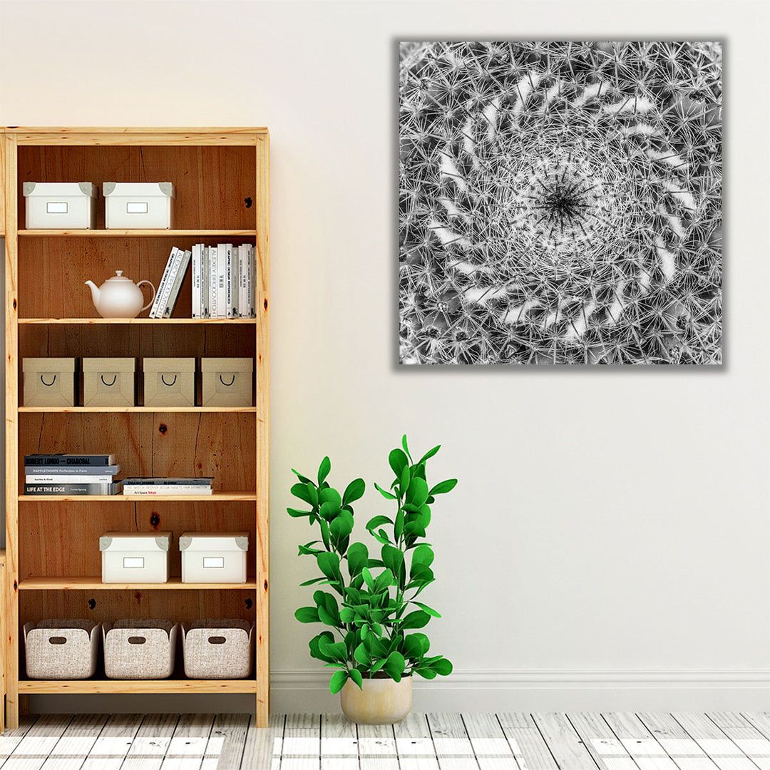 Cacti Close Up - Canvas Print Wall Art
