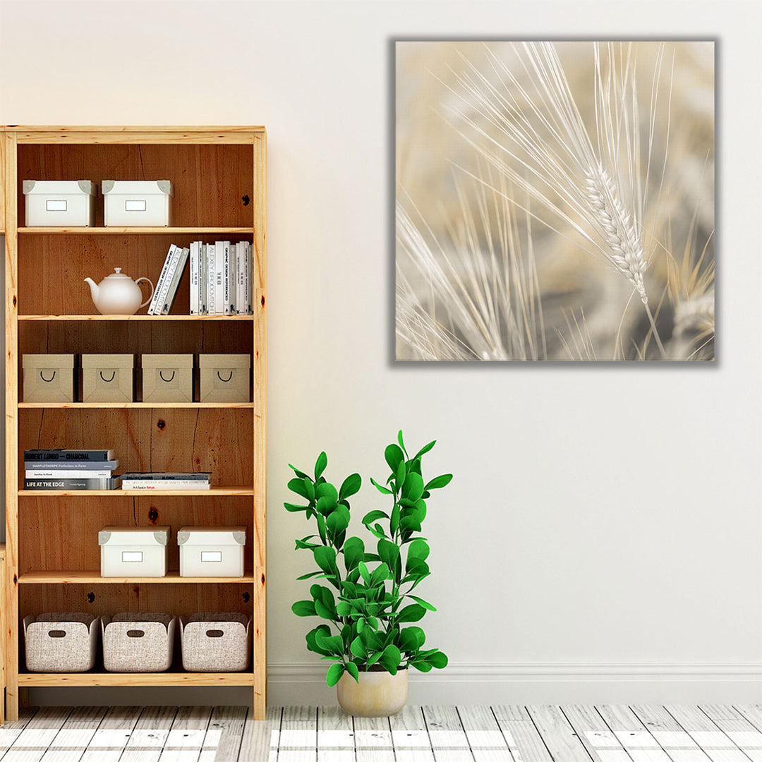 Wheat Close-up - Canvas Print Wall Art
