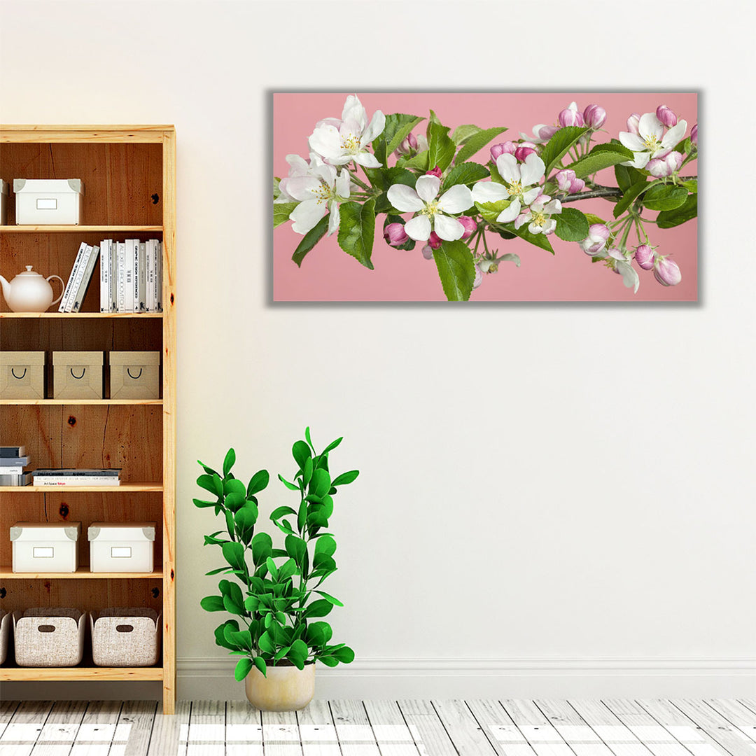 Apple Blossom - Canvas Print Wall Art