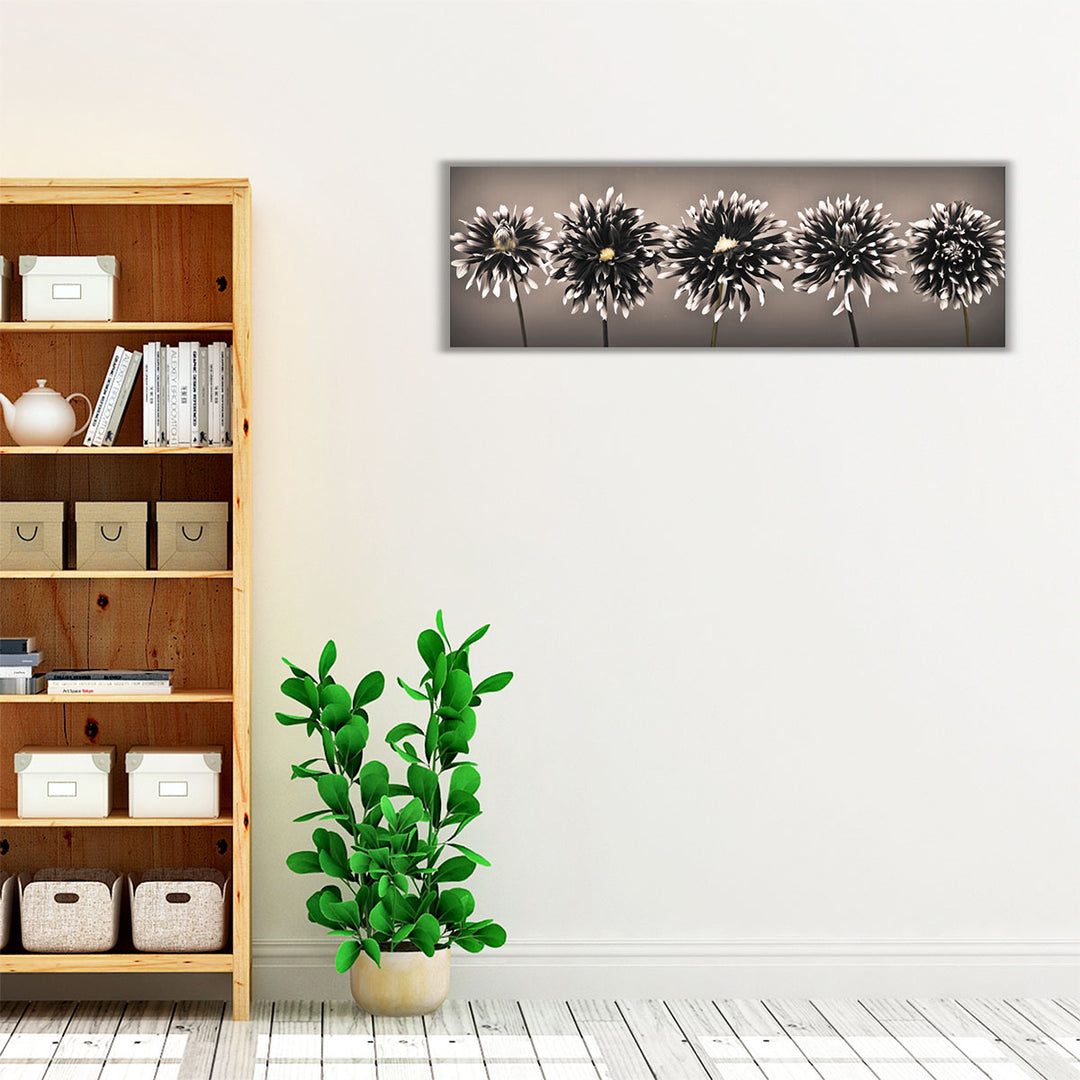 Five Dahlias in a row Black and White - Canvas Print Wall Art