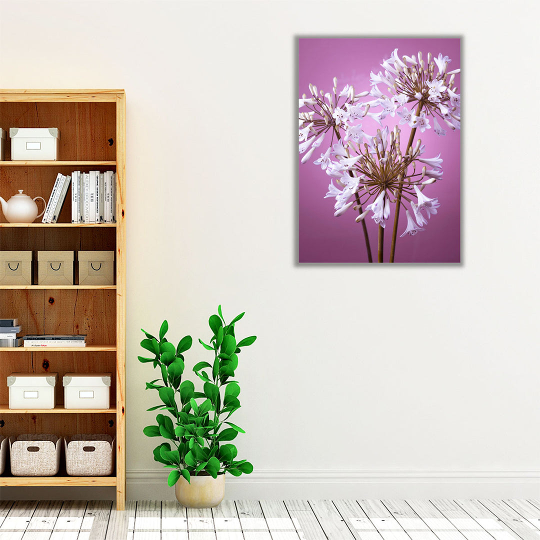 African Lily 1 - Canvas Print Wall Art