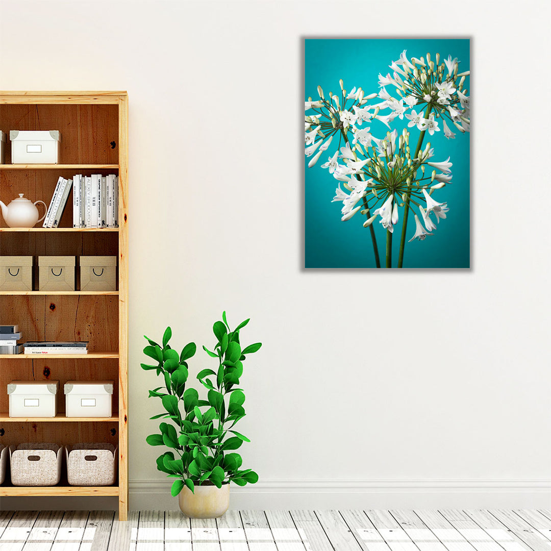 African Lily 2 - Canvas Print Wall Art