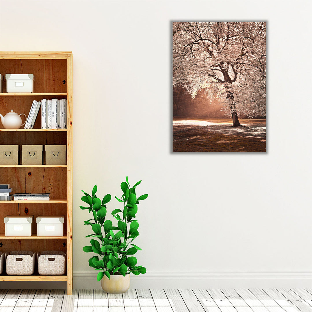 Neutral and brown fall wall art for rustic interiors
