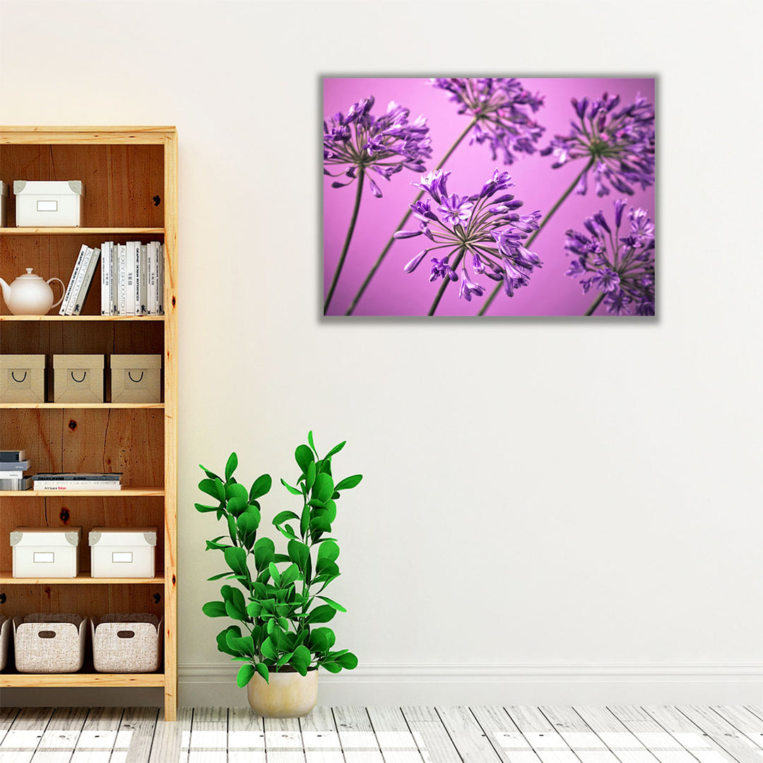 African Lilies 1 - Canvas Print Wall Art