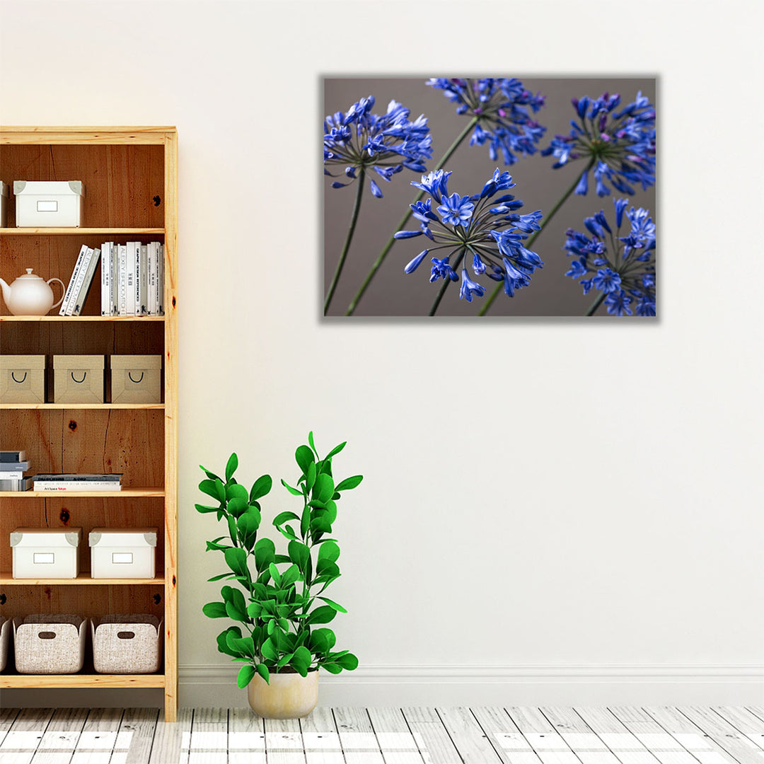 African Lilies 2 - Canvas Print Wall Art
