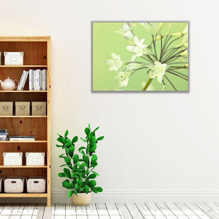 African Lily 1 - Canvas Print Wall Art