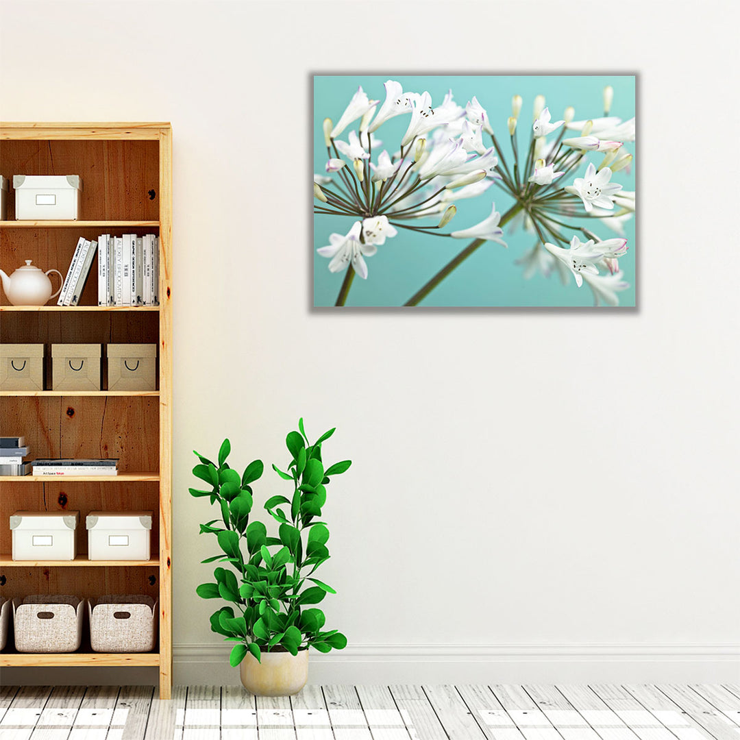 African Lily 2 - Canvas Print Wall Art