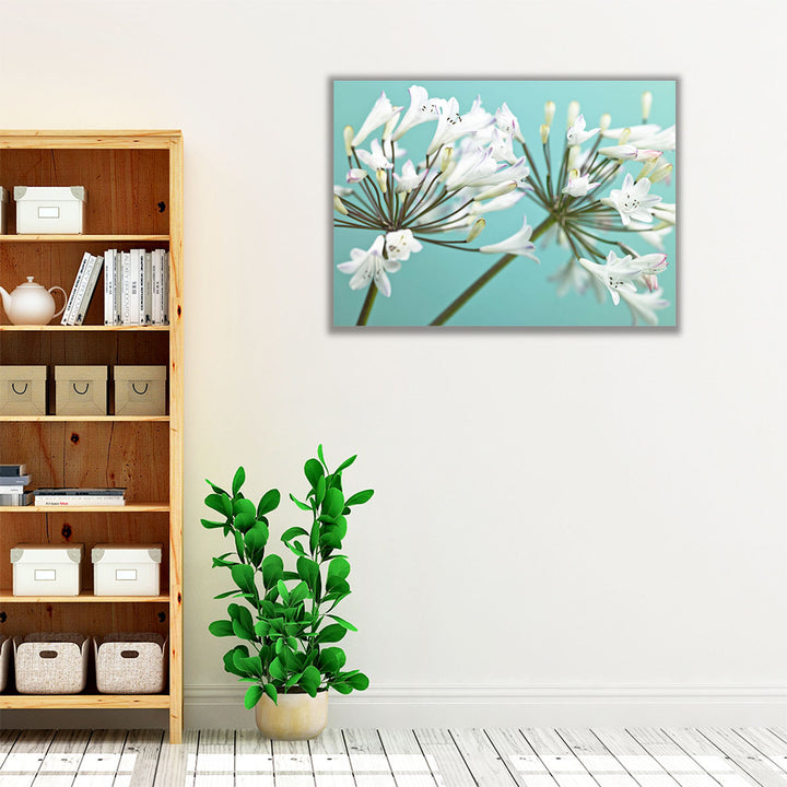 African Lily 2 - Canvas Print Wall Art