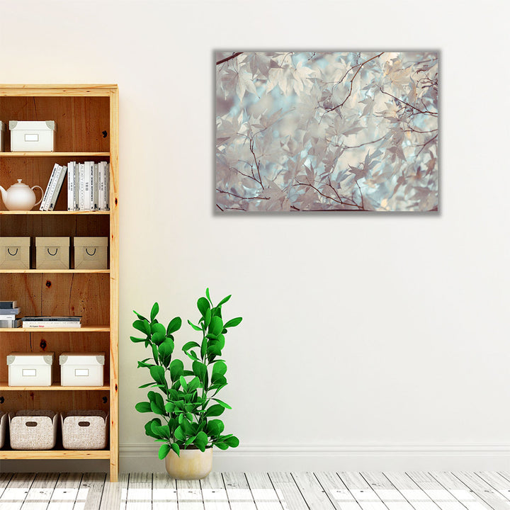 Autumn Coloured Leaves Backlit - Canvas Print Wall Art