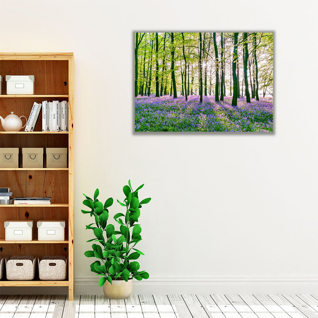 Bluebells Covering Forest Floor - Canvas Print Wall Art