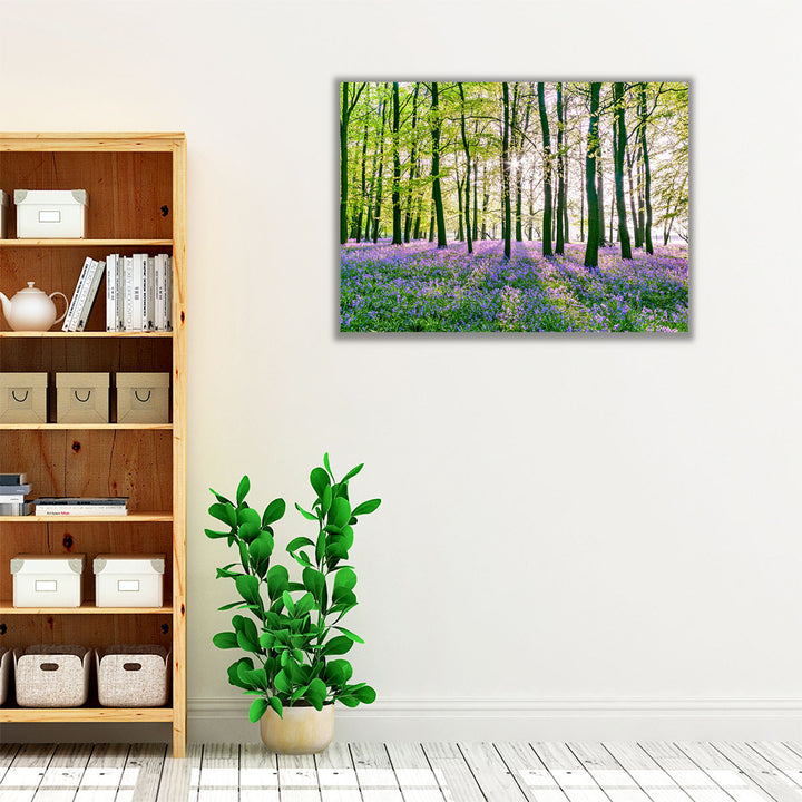 Bluebells Covering Forest Floor - Canvas Print Wall Art