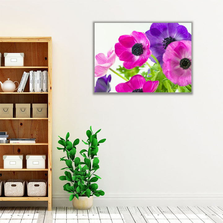 Bunch of Anemone Flowers - Canvas Print Wall Art