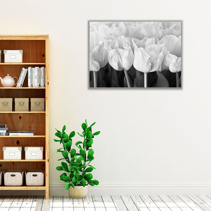 Bunch Of Tulips Close-up - Canvas Print Wall Art