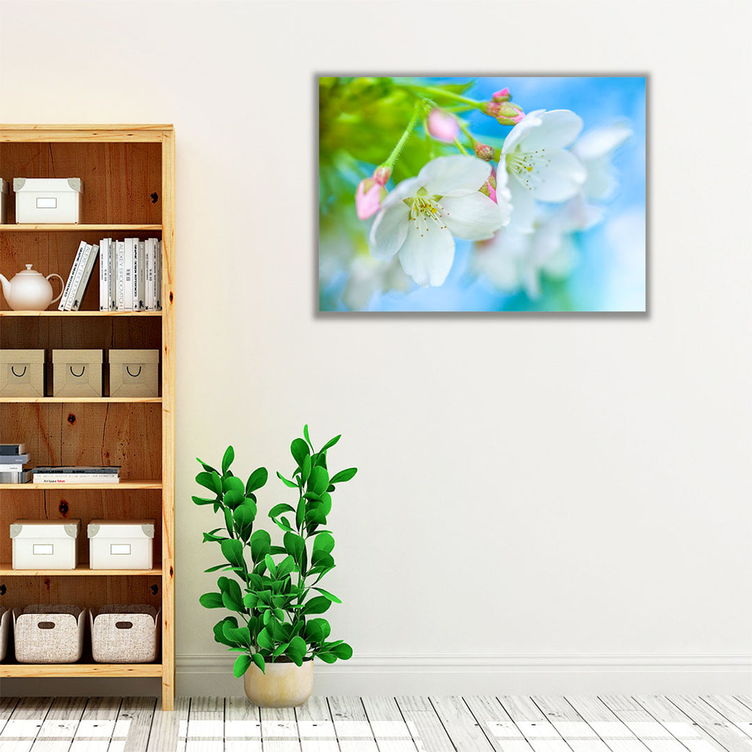 Cherry Blossom - Canvas Print Wall Art