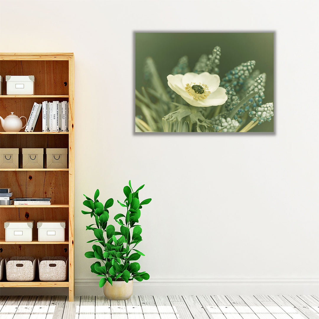 Close-Up Of Anemone Flower - Canvas Print Wall Art