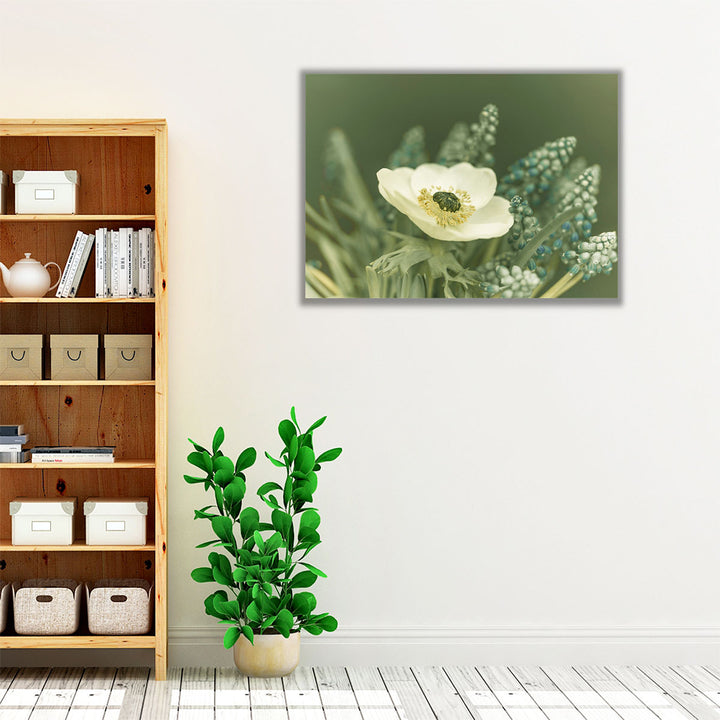 Close-Up Of Anemone Flower - Canvas Print Wall Art