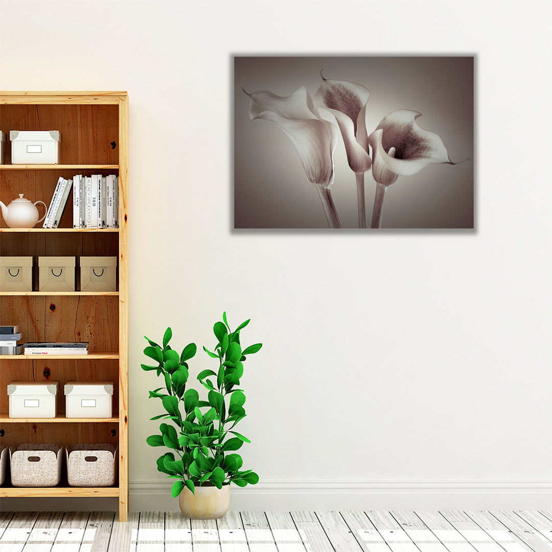 Close-up Of Three White Calla Lilies Neutral - Canvas Print Wall Art