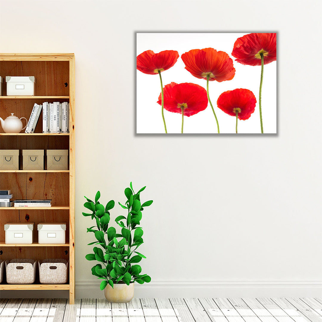 Five Poppies - Canvas Print Wall Art