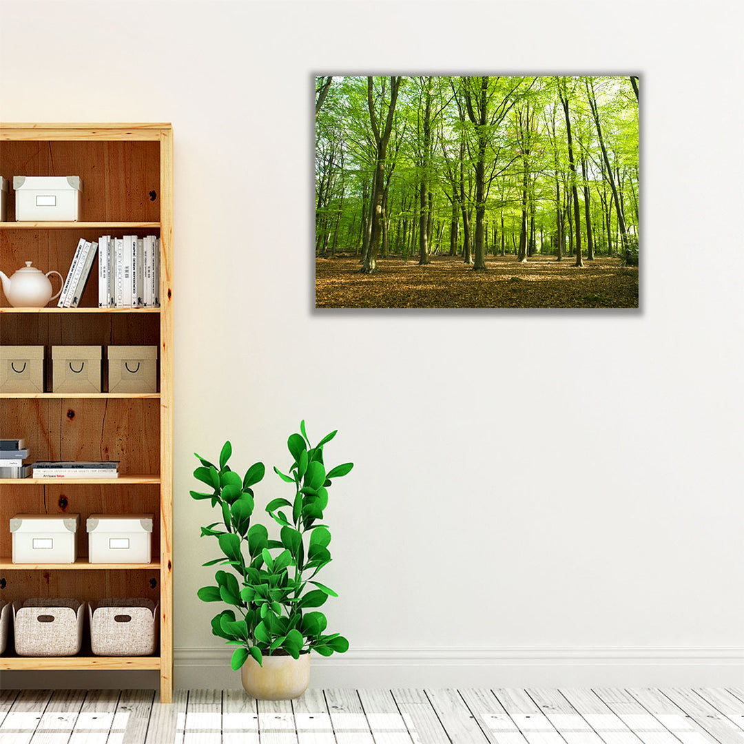 Forest At Spring Time - Canvas Print Wall Art