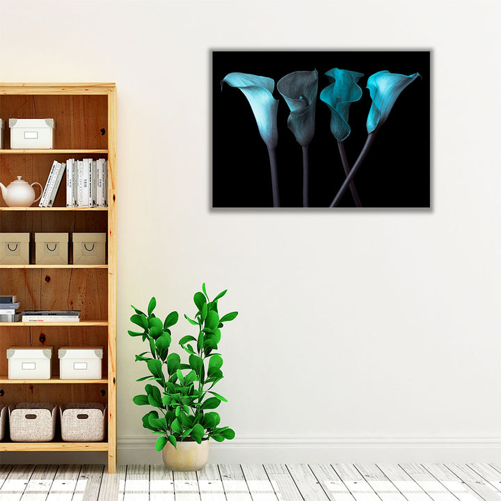 Four Calla Lilies 1 - Canvas Print Wall Art