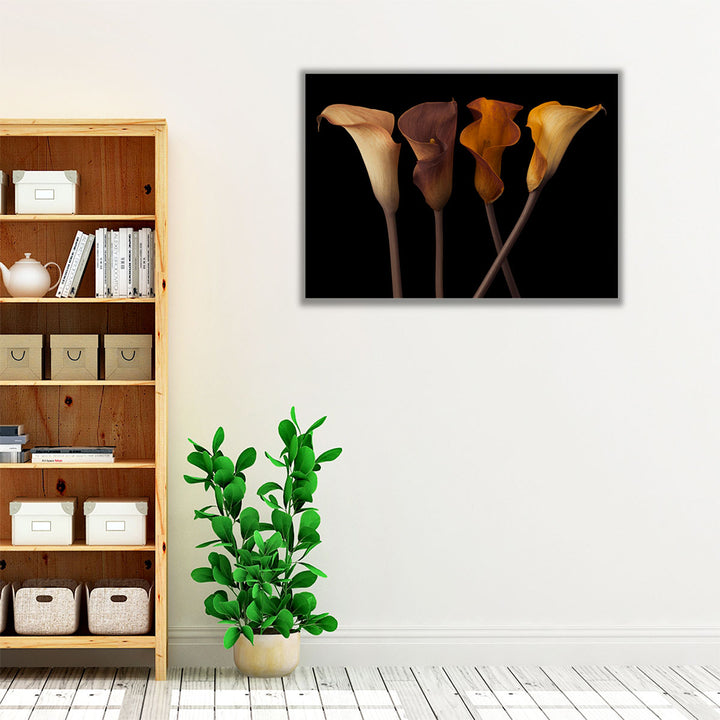 Four Calla Lilies 2 - Canvas Print Wall Art
