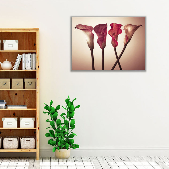 Four Calla Lilies 3 - Canvas Print Wall Art