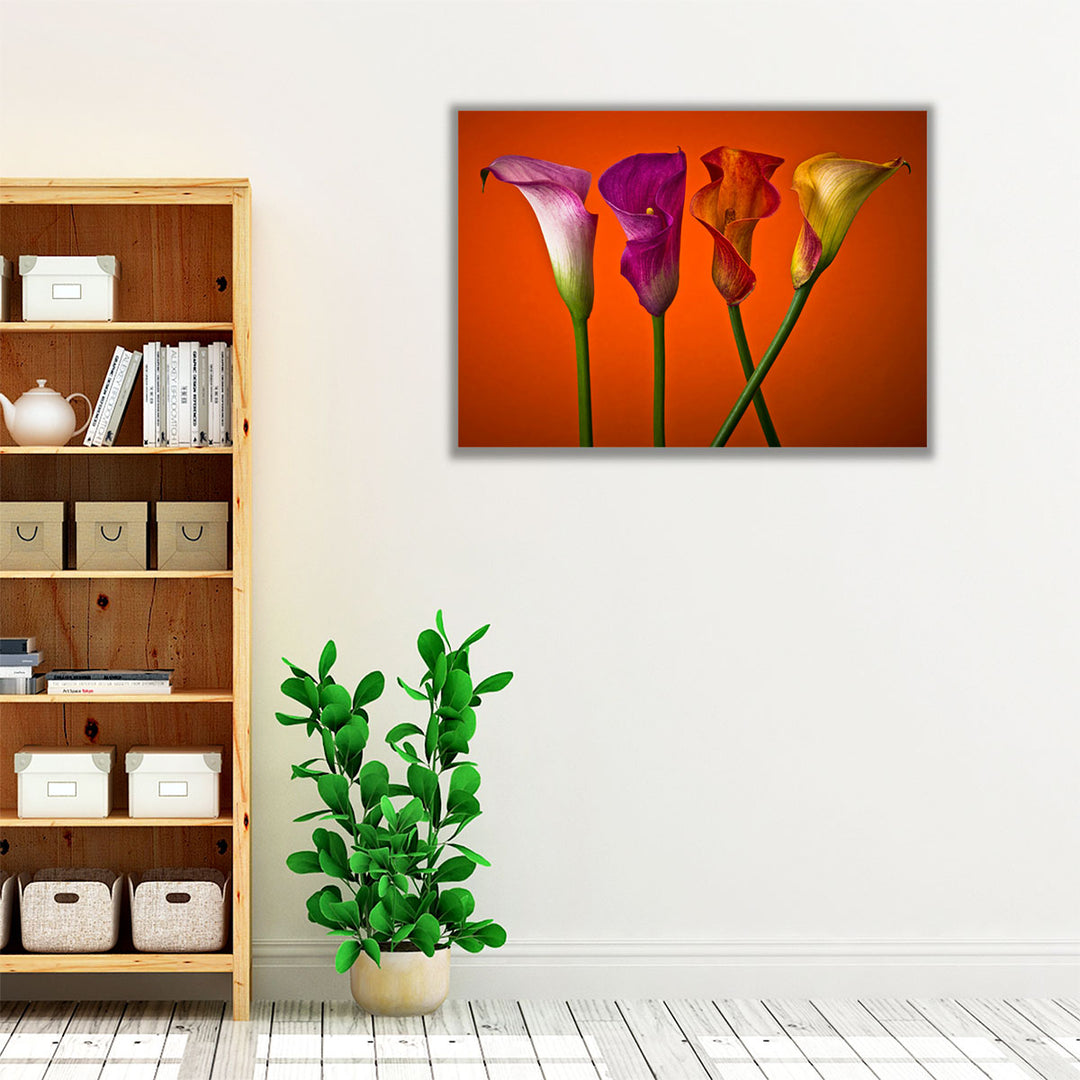 Four Calla Lilies 4 - Canvas Print Wall Art
