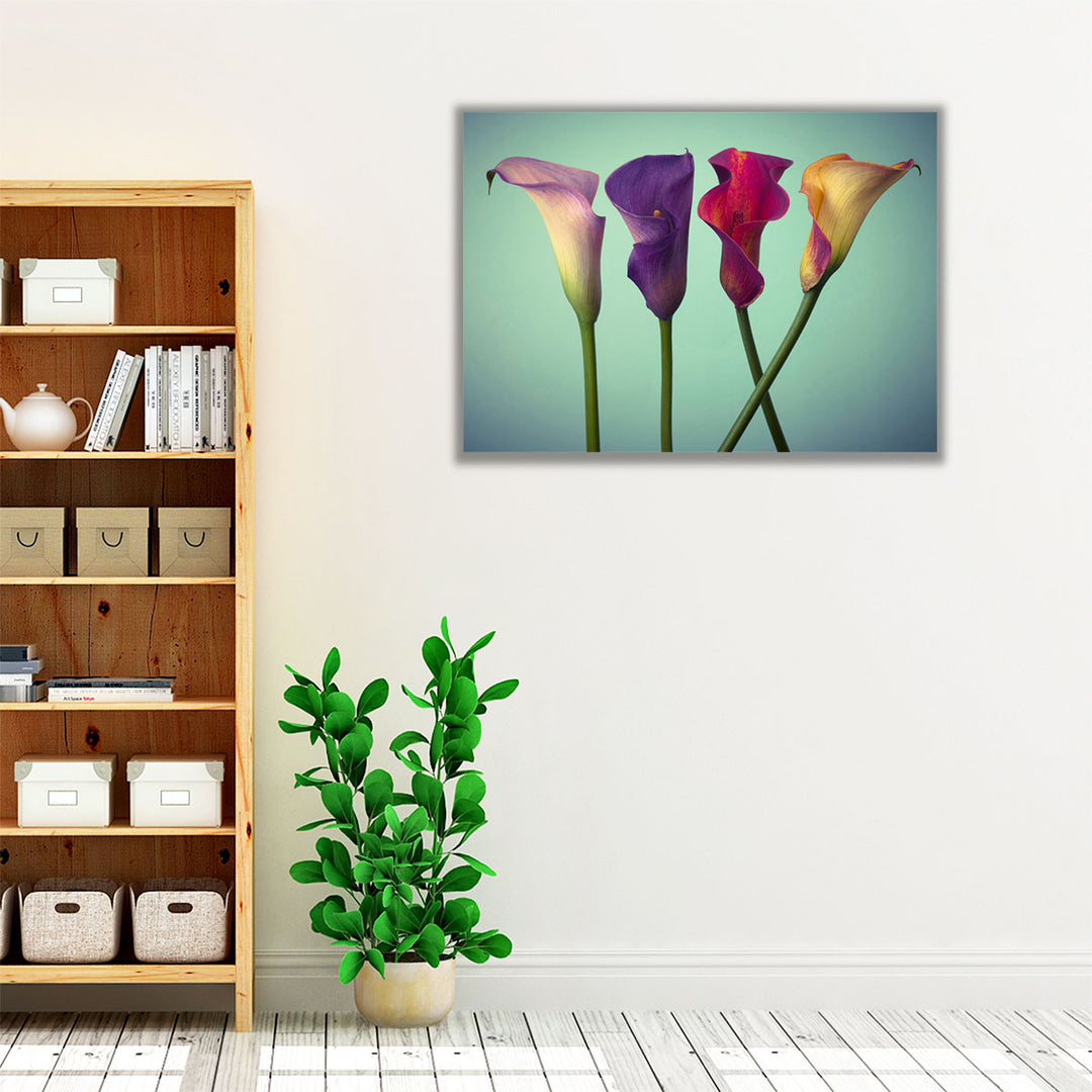 Four Calla Lilies 5 - Canvas Print Wall Art