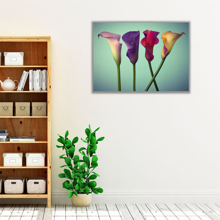 Four Calla Lilies 5 - Canvas Print Wall Art