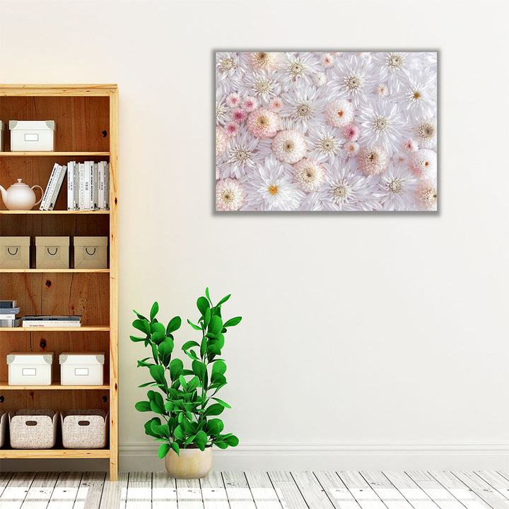 Full Frame Of Dahlia Flowers - Canvas Print Wall Art