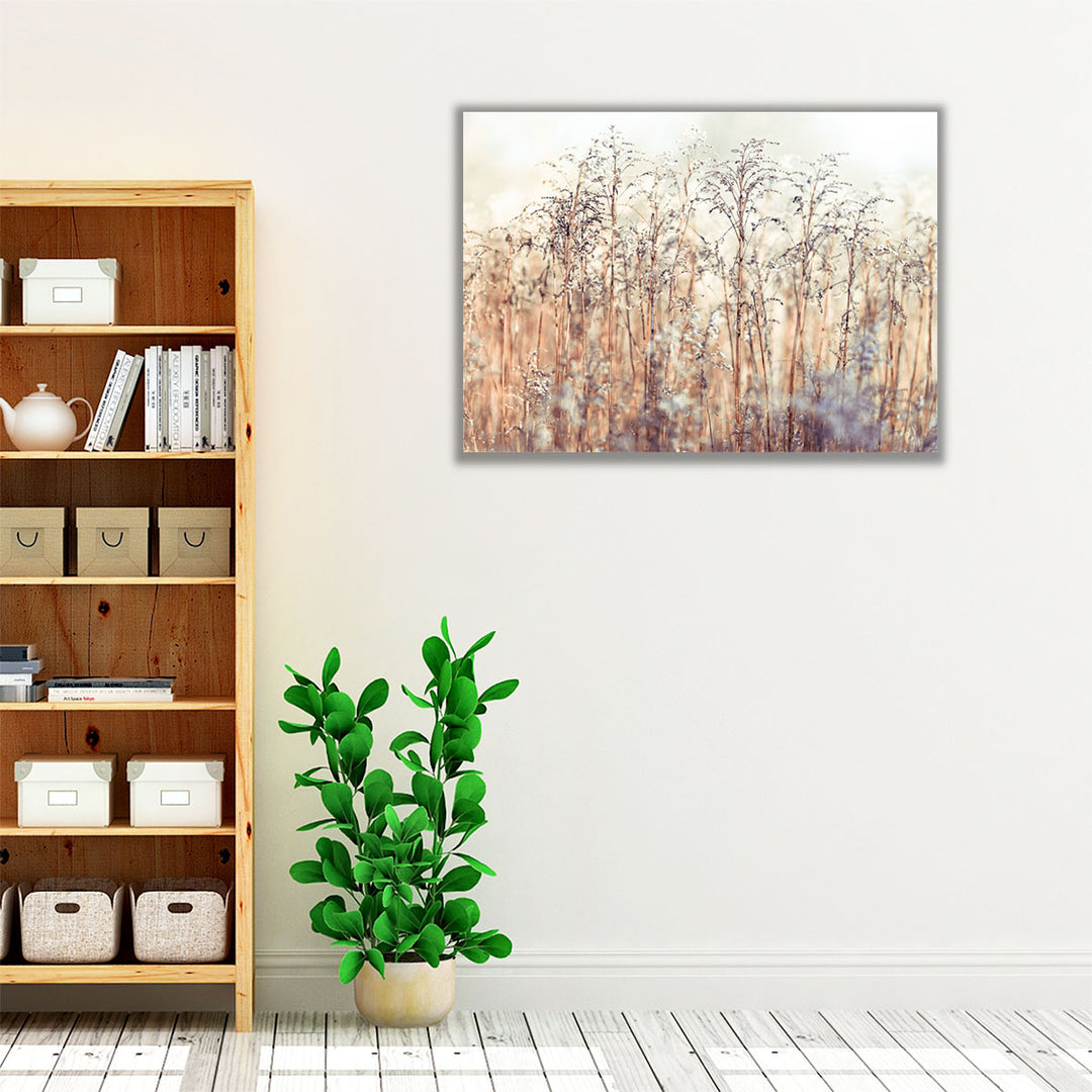 Grass Reeds - Canvas Print Wall Art