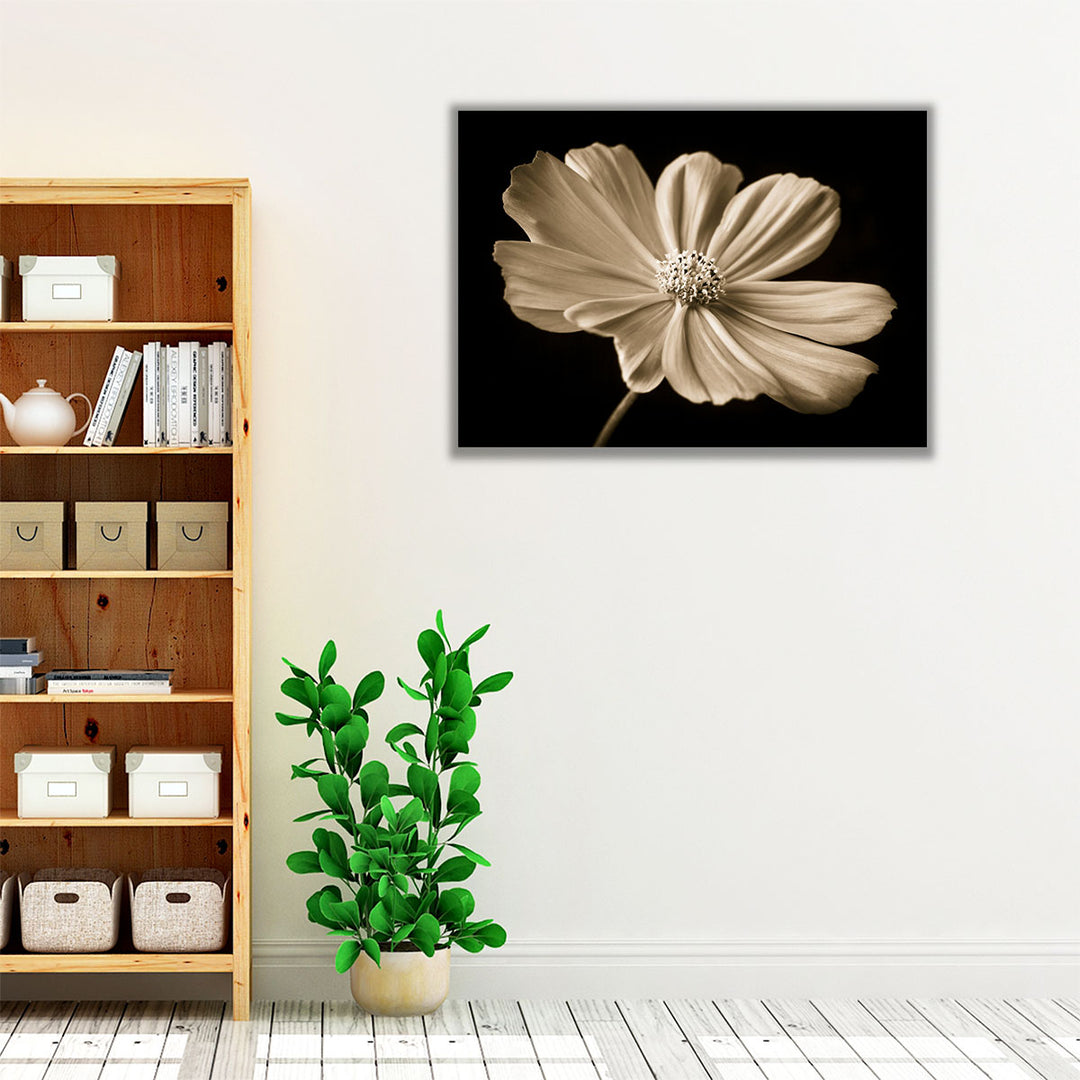 Cosmos Flower - Canvas Print Wall Art