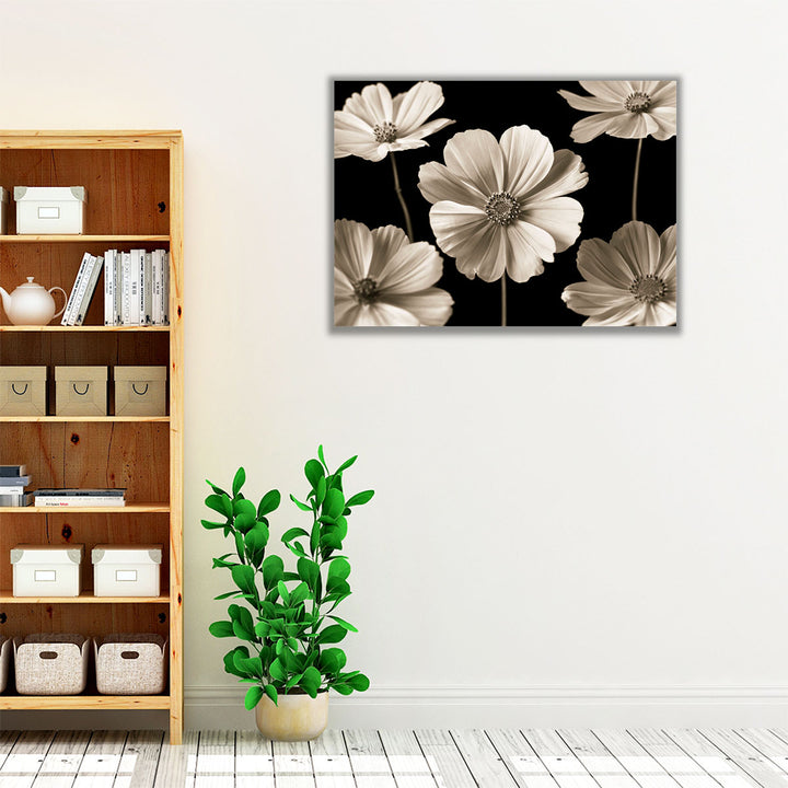 Cosmos Flowers - Canvas Print Wall Art