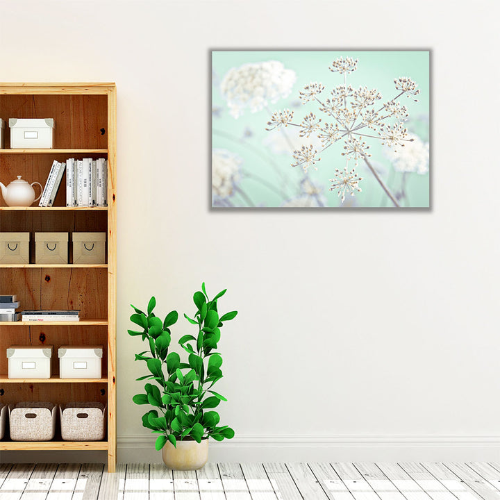 Cow Parsley Flowers 2 - Canvas Print Wall Art