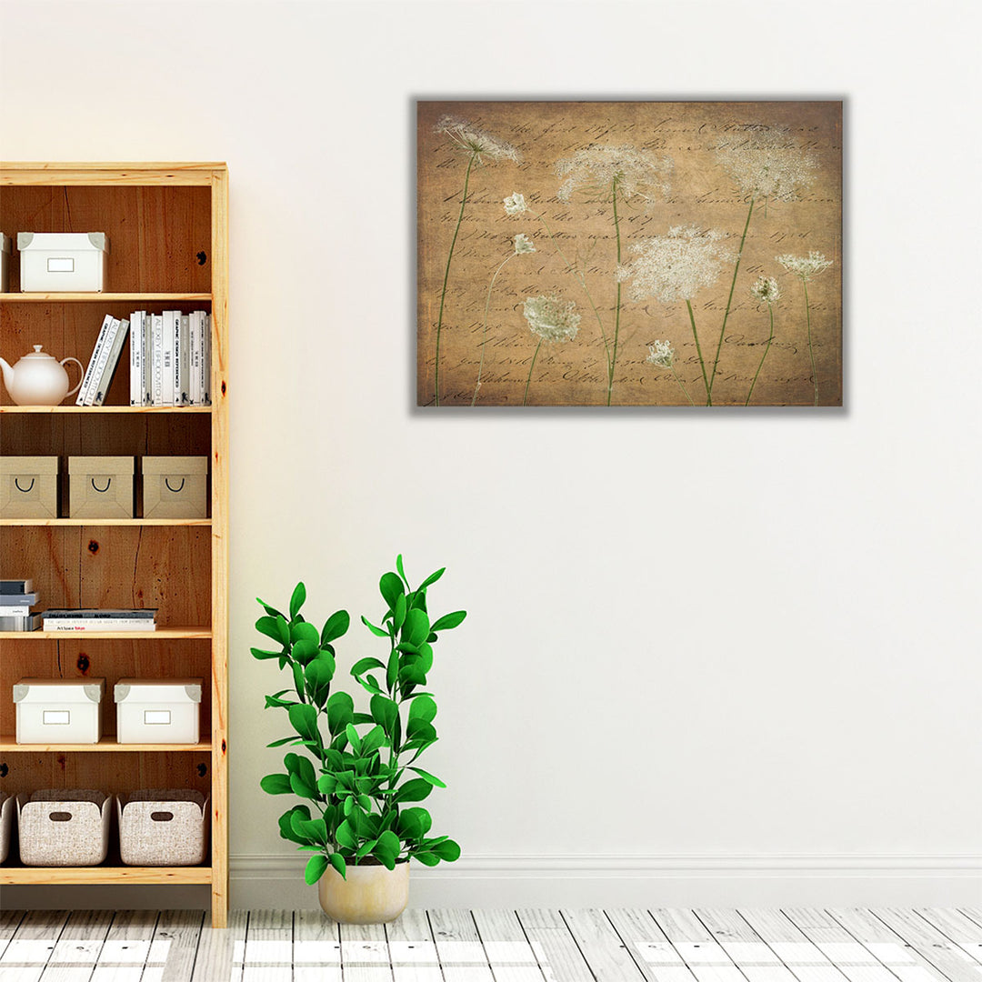 Cow Parsley Flowers 4 - Canvas Print Wall Art