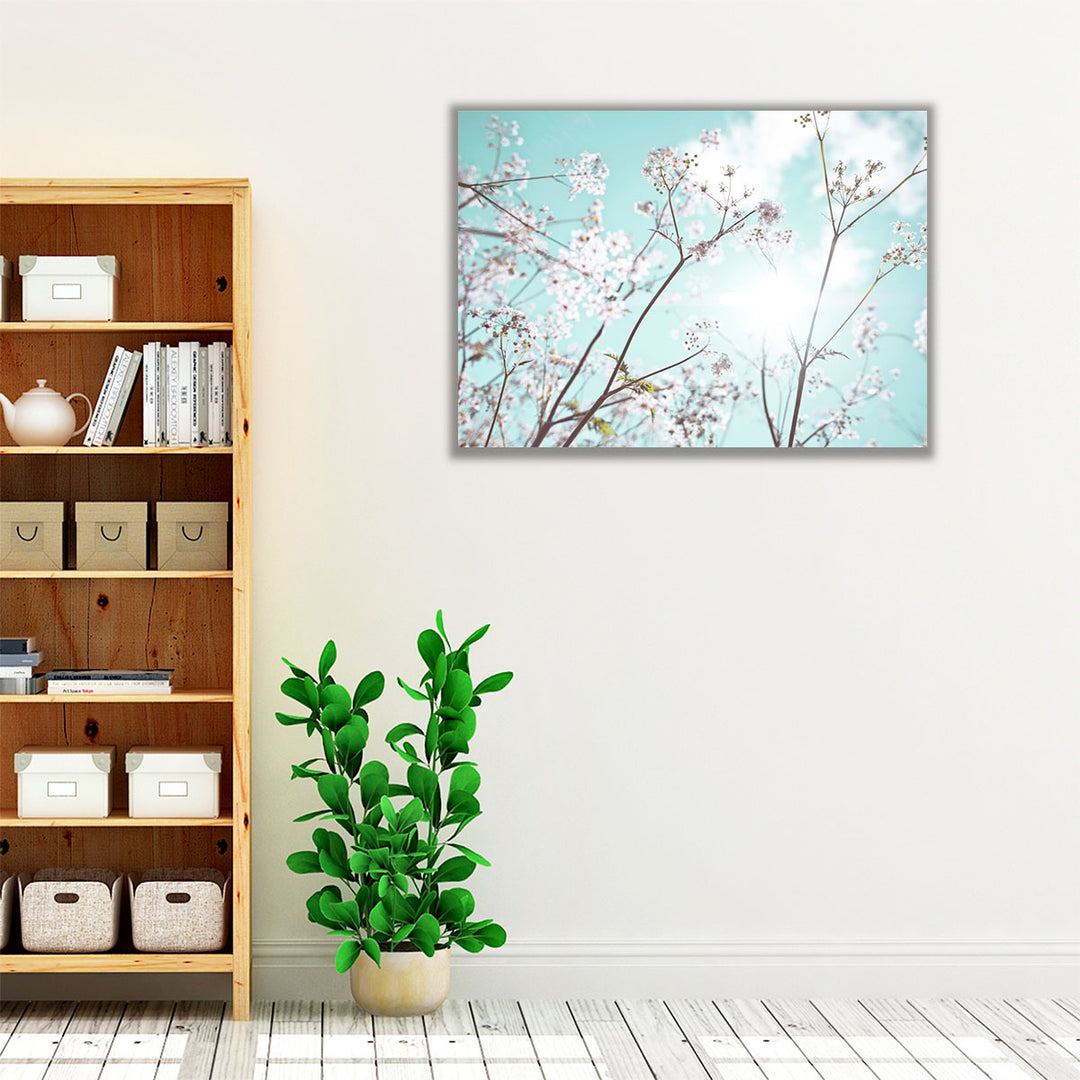 Cow Parsley Flowers In Summer Time - Canvas Print Wall Art